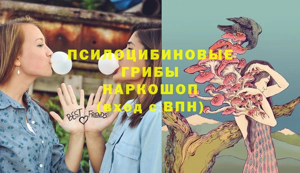 дживик Алексеевка